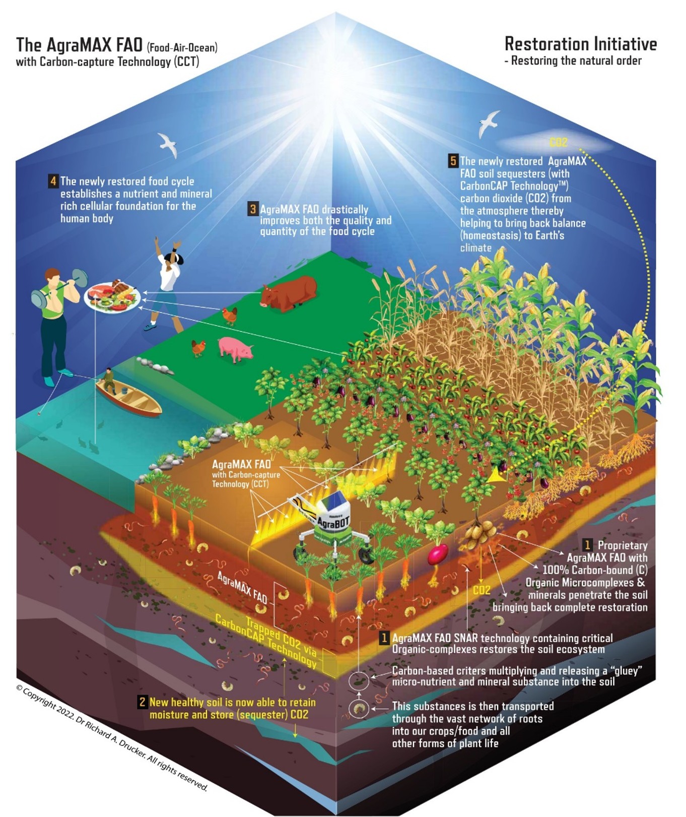 Diagram showing the AgraMAX FAO restoration model with healthier soil, stronger crops, moisture retention, and carbon capture.