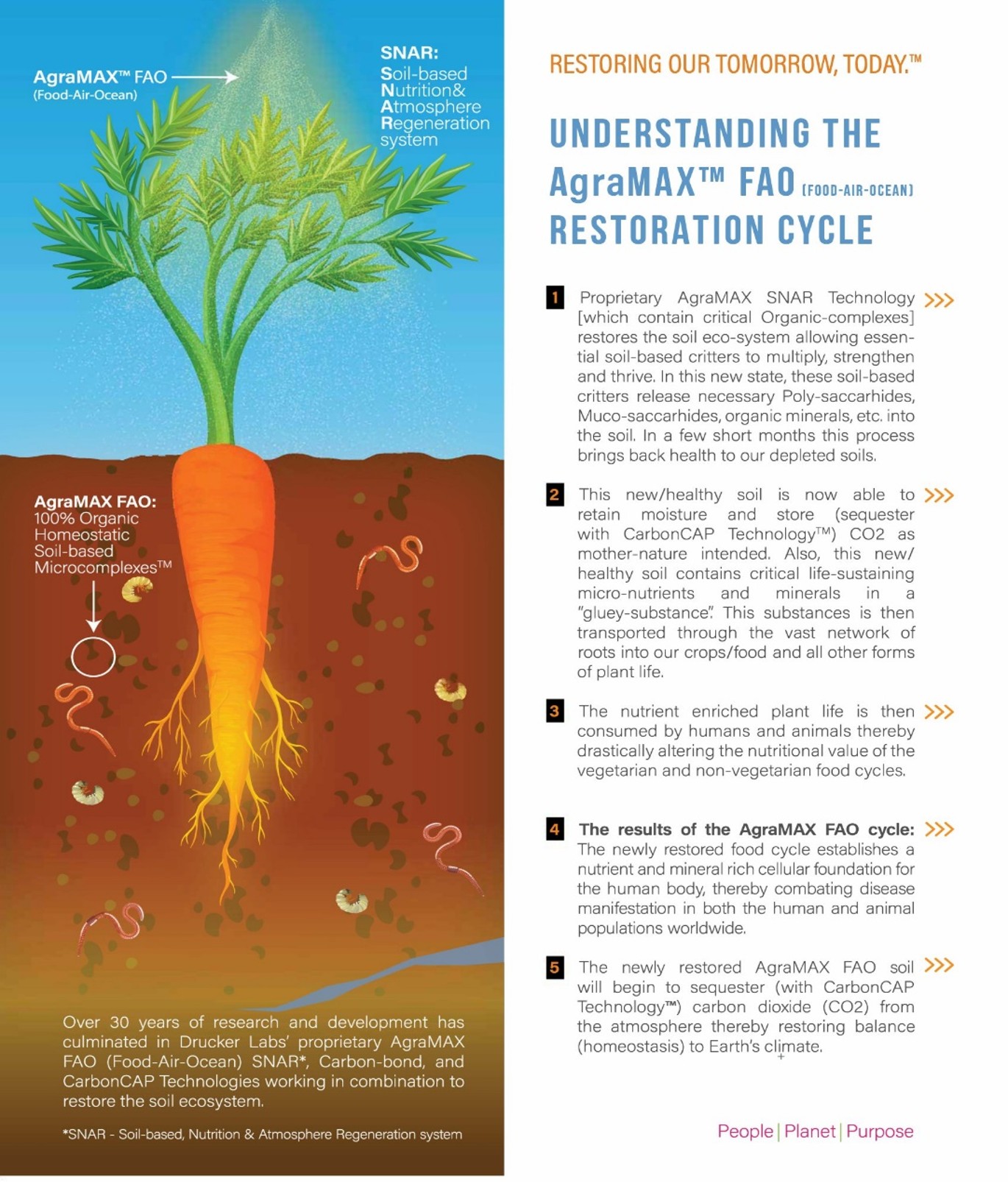 Carrot root diagram explaining the AgraMAX FAO restoration cycle from depleted soil to nutrient-rich food and carbon sequestration.